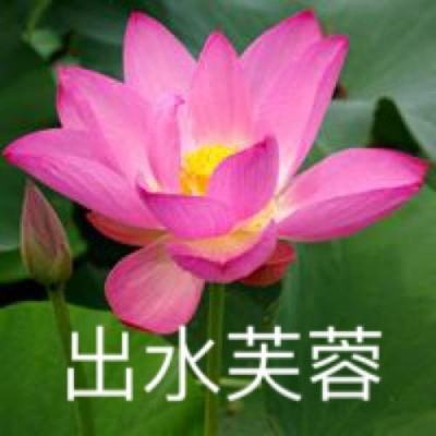 少年三国官方下载
